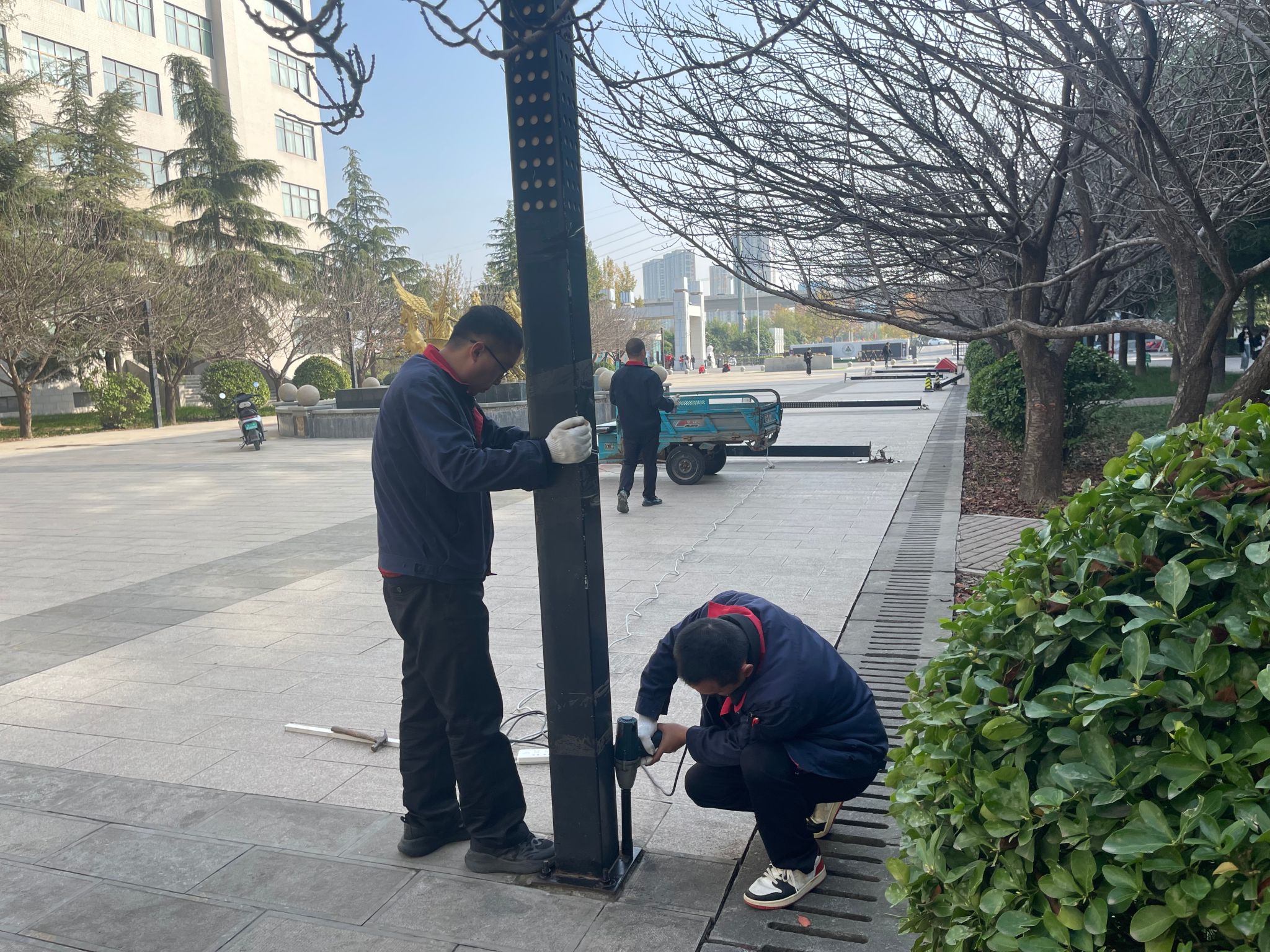 联系电话：0371-67673905