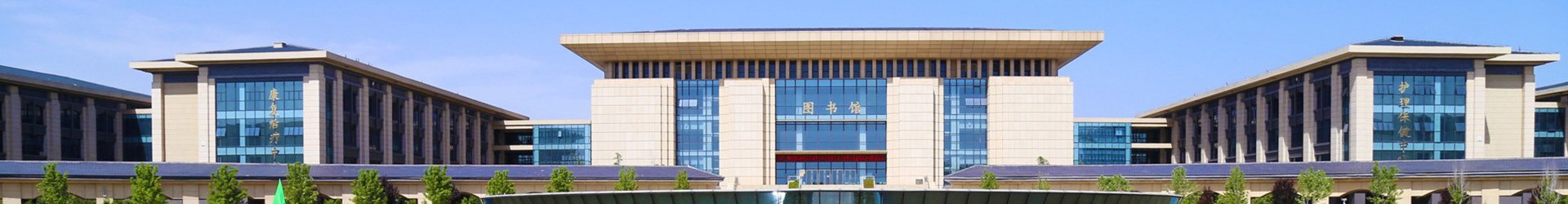 上一条：办学人 王树青